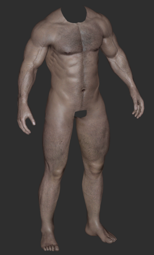 More information about "SOS High Poly Body"