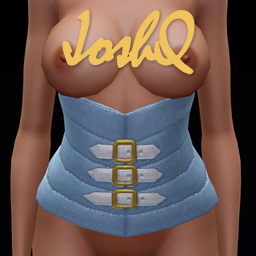 More information about "Simple Corset N11, for MedBod"