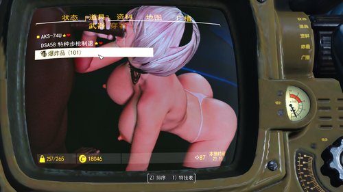 More information about "Fallout 4 BDSM porn pip-boy background"