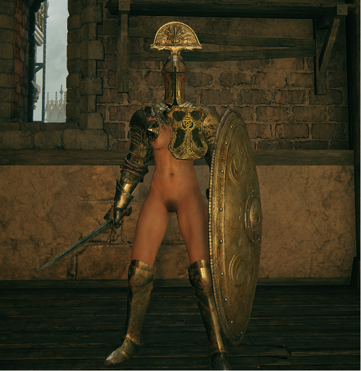 Leyndell knight armor (skimpy)