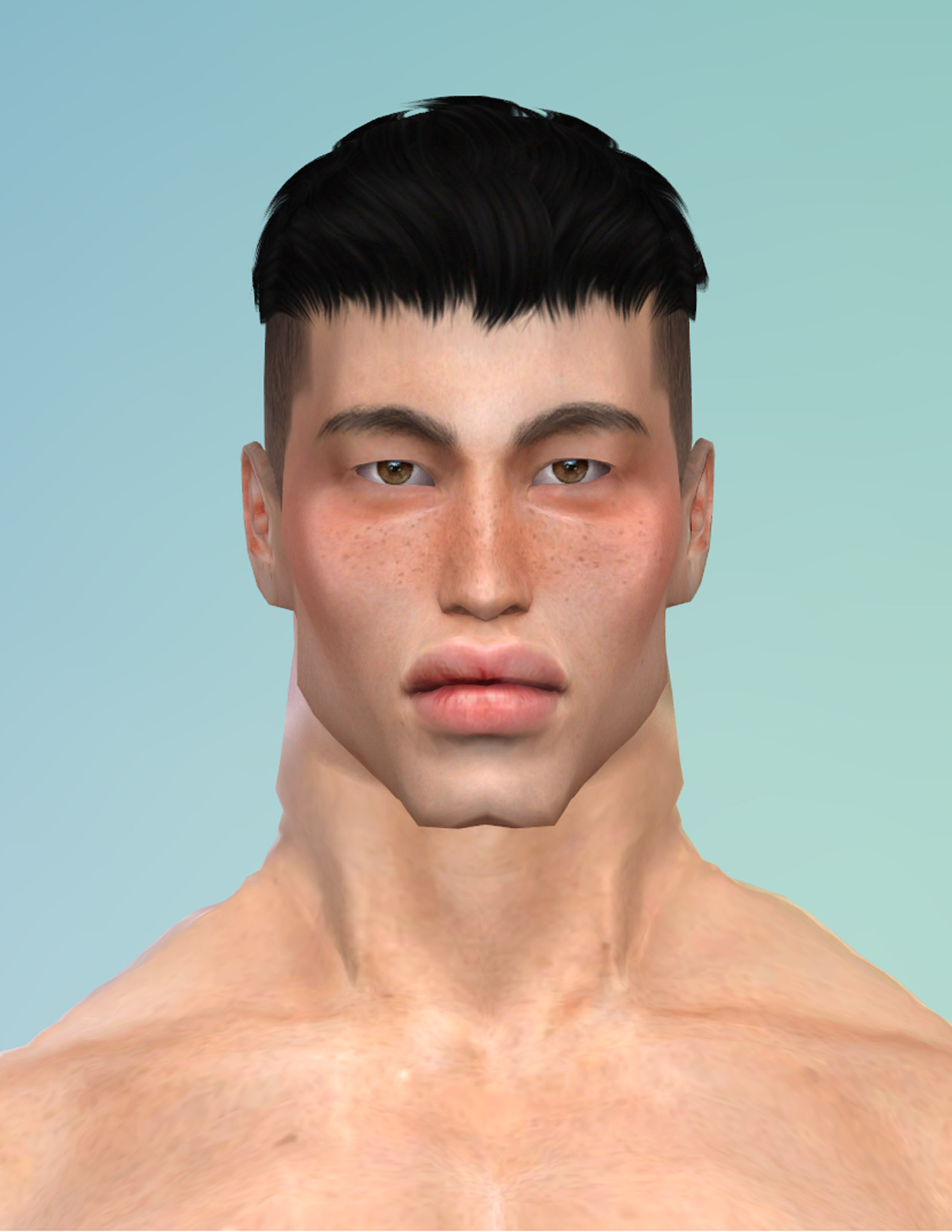 Pirate Boi Sims