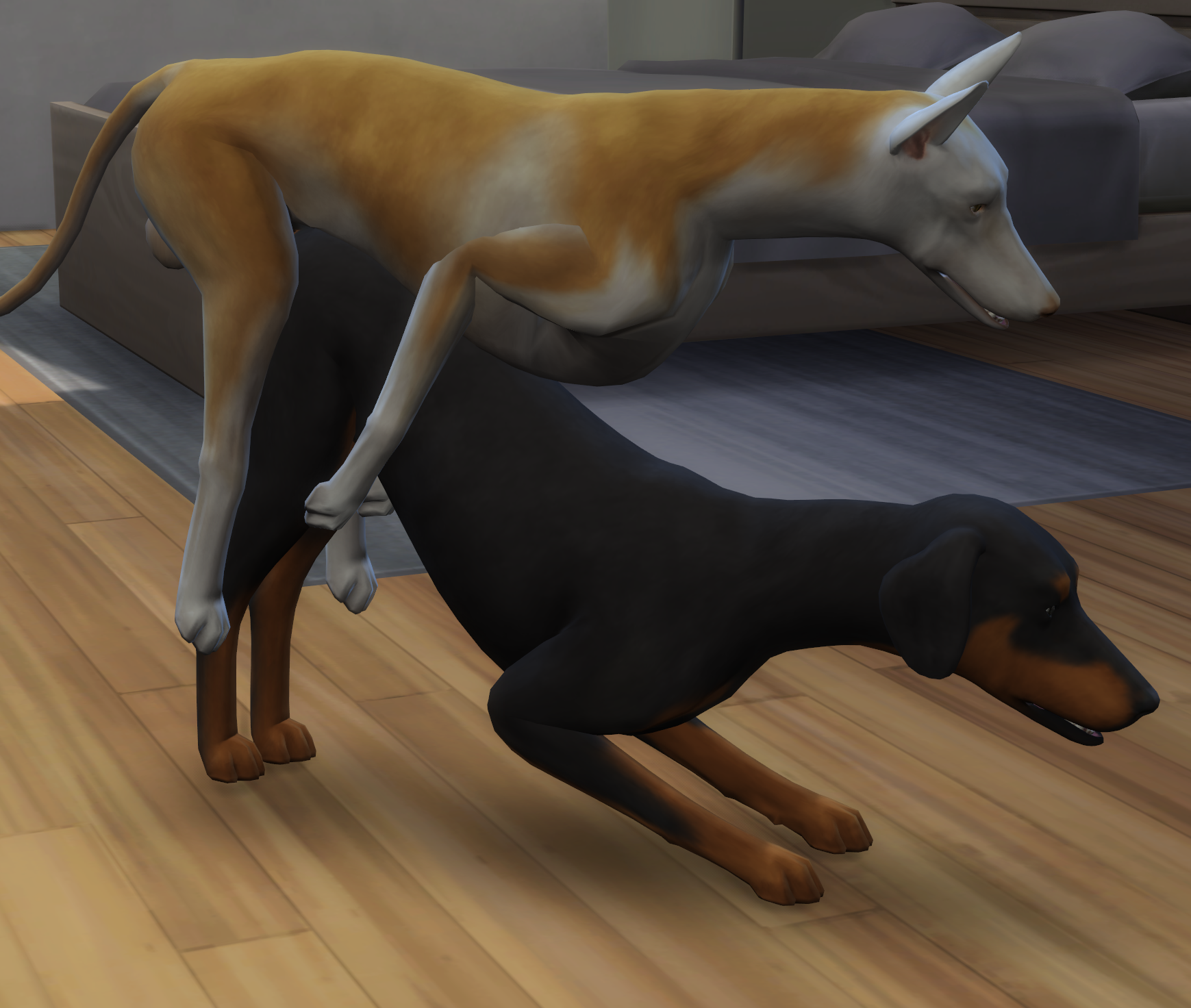 Kzero91 DD Pet Sex Animations Only Pet on Pet - Animations - WickedWhims -  LoversLab