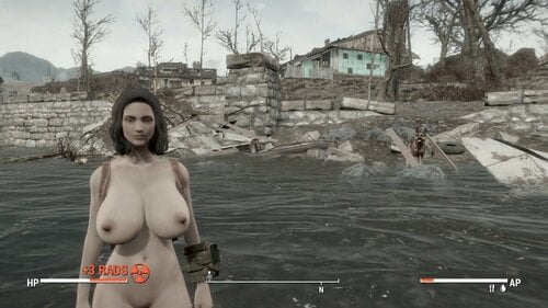 More information about "FO4 Nude Basics"