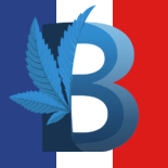 More information about "[Sims 4] French translation for Basemental Drugs 7.16.160 - Traduction française"