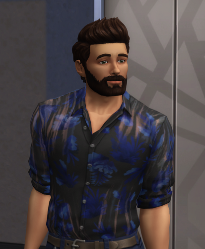 More information about "My main sim William Grey"