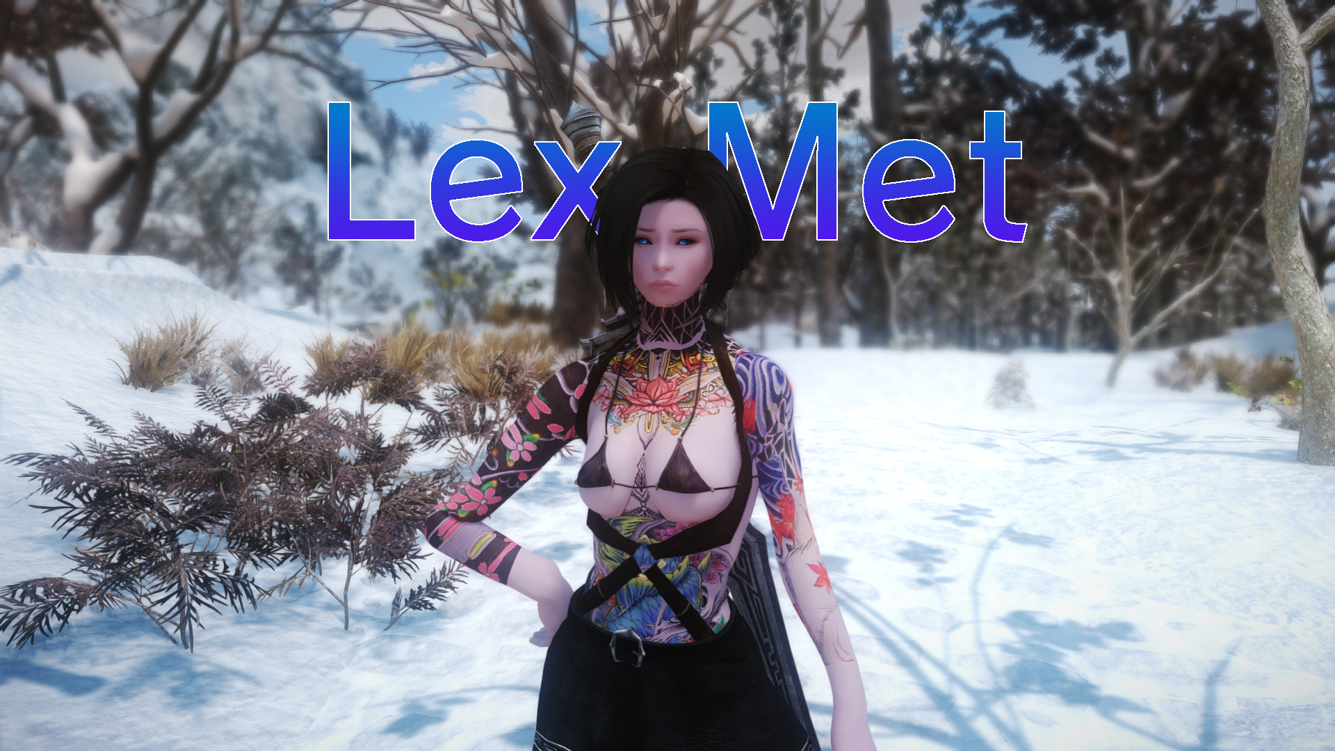 Lex Met - RaceMenu Preset