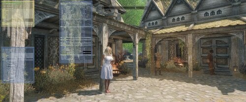 More information about "Skyrim LE - Picturesque - ENB - Customized"