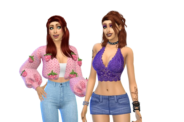 Pleasant Twins' townie makeover