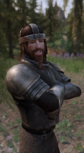 TBCaptivity (Original) for CaptivityEvents for Bannerlord 1.0
