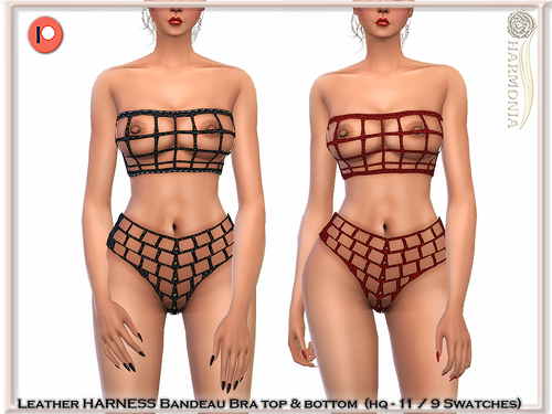 More information about "​?​ Leather Harness Top & Bottom"