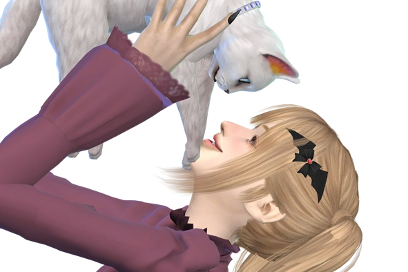 Your Neighbour and Her Cat