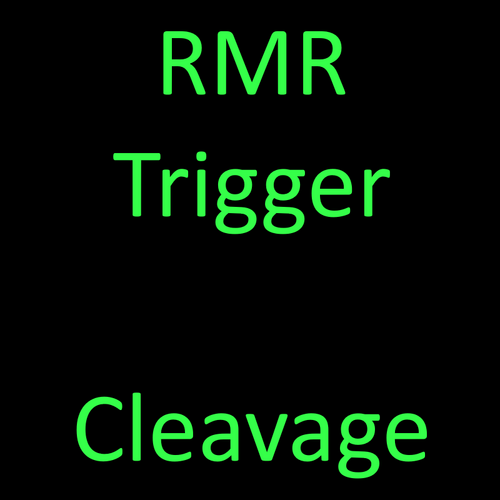More information about "Rad Morphing Redux Trigger: Cleavage"