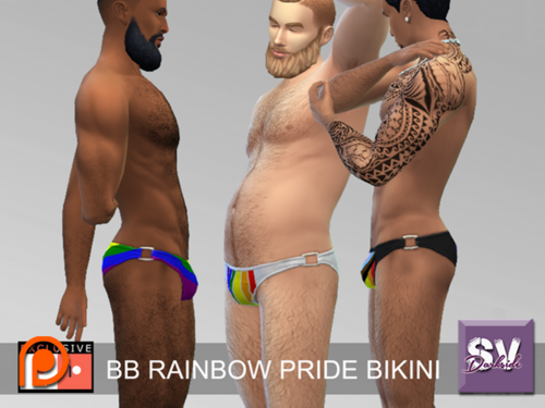 More information about "SV Rainbow Pride Bikini"
