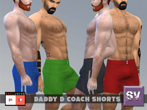 More information about "SV Daddy D Coach Shorts"