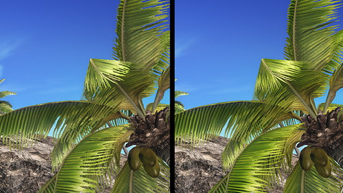 Better Palm Leaf 2.0