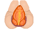 Teramons Gleap+
