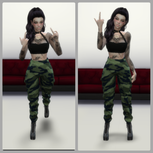 More information about "Middle Finger Poses"