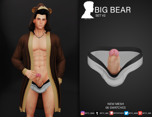 More information about "BIG BEAR - SET V2"