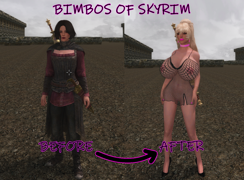 More information about "Bimbos Of Skyrim LE/SE"