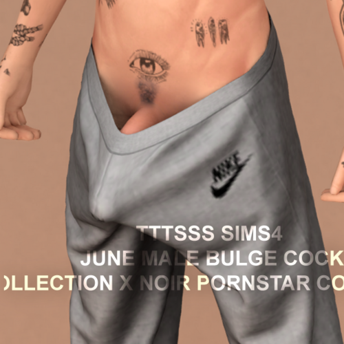More information about "TTTSSS MALE Bulge Dick Collection June (x Pornstar cock)"