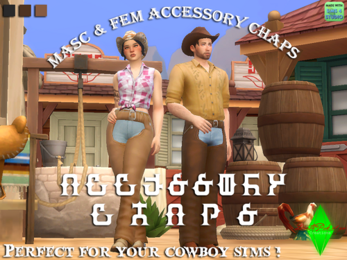 More information about "Accessory Assless Chaps"