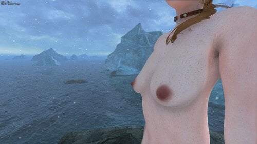 More information about "Cold Nipple Morphs for SunHelm or FrostFall, RaceMenu, and 3BA"