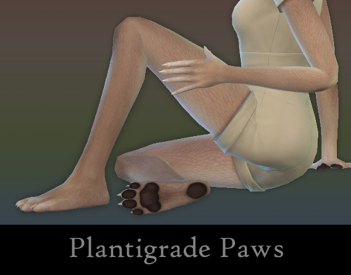More information about "Plantigrade Paws"