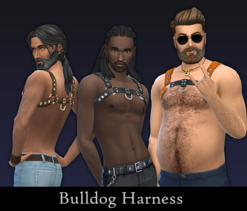More information about "Bulldog Harness"