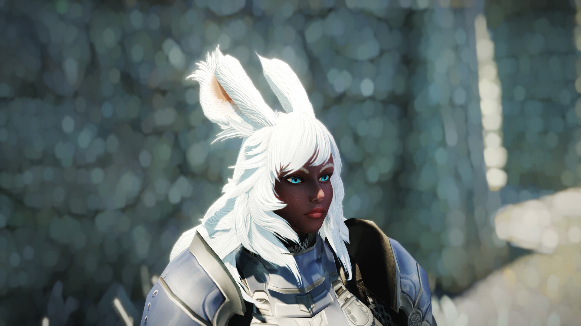 Viera Hair HDT-SMP