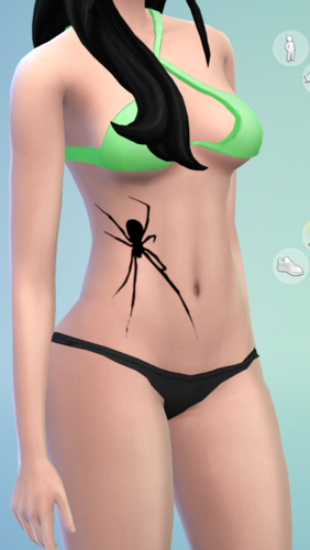 More information about "Spider Tattoo on belly"