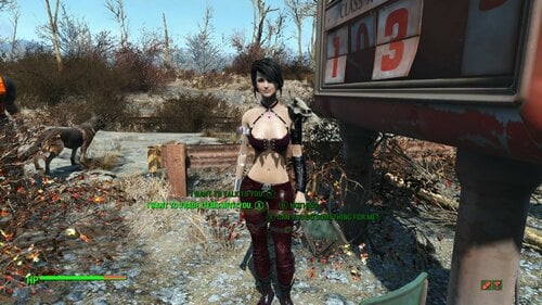 More information about "Morrigan Dragon Age Follower: FO4 Epilogue 2 - Darkness and Fire"