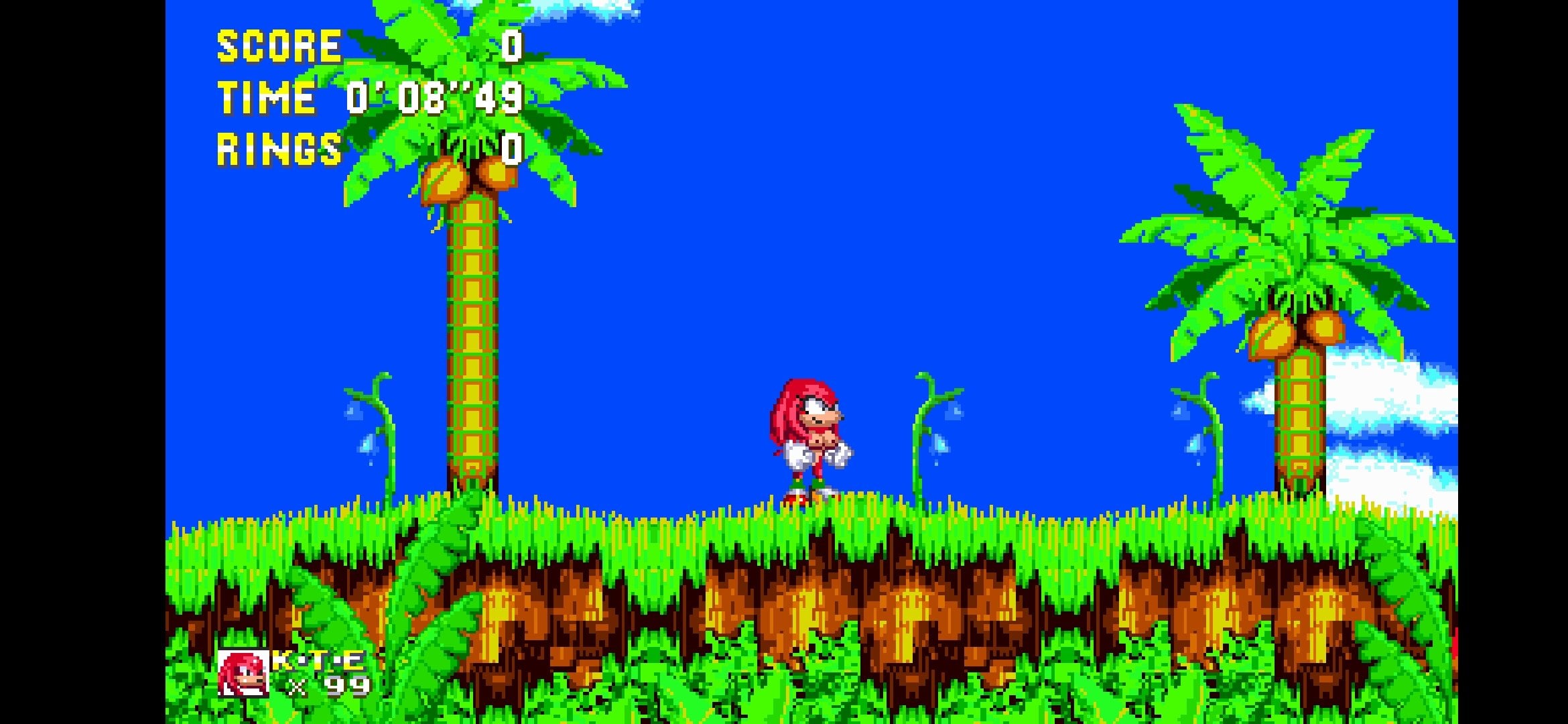 Nude fem knuckles