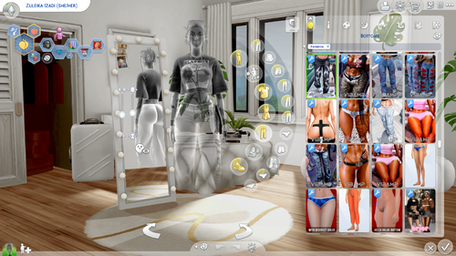 More information about "Life and Death Sim Remakes"
