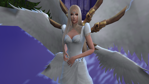 More information about "ANAEL"