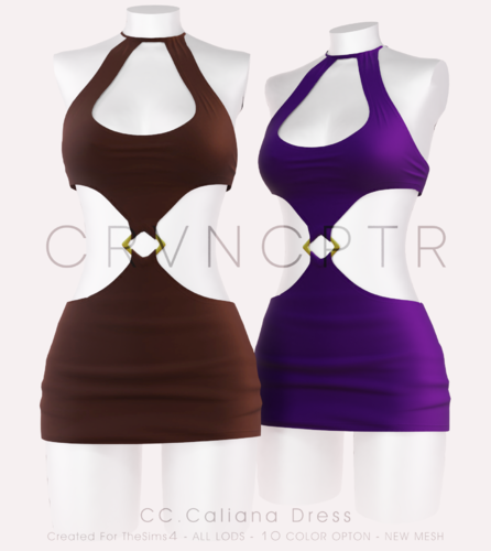 More information about "CC.Caliana Dress"