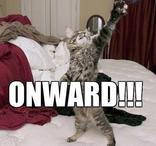 More information about "Stuck Khajiit caravan fix for SSE 1.5.97, USSEP 4.2.5b and VSMO"