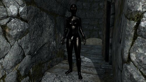 More information about "Latex Catsuit Thieves Guild Armour Replacer"