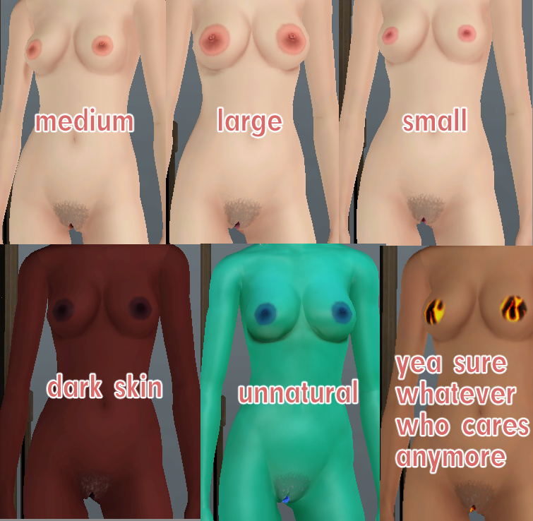 TS3 Accessory animu nips + vagina
