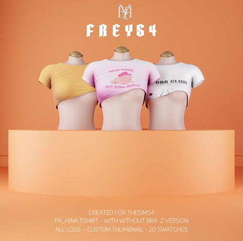 More information about "FR_Hina Tshirt 2 VERSION"