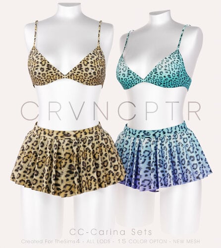 More information about "CC-Carina Sets"