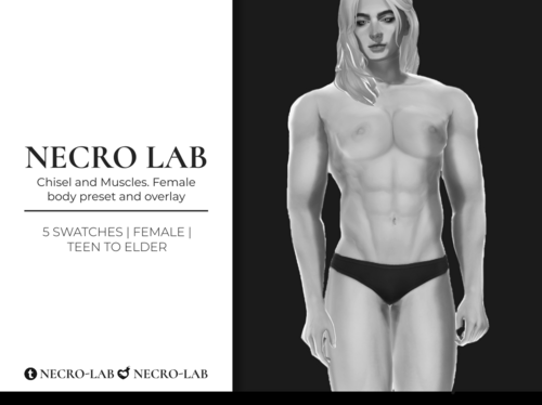 More information about "[NecroLab] Chisel and Muscles. Female body preset and overlay"