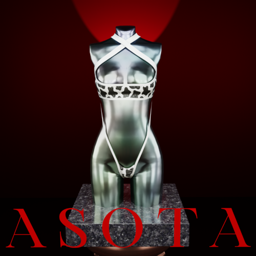 More information about "[ASOTA OFFICIAL] Alina Swimsuit"