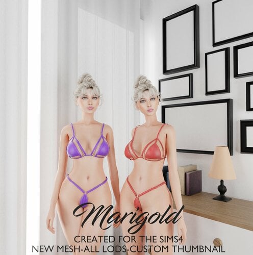 More information about "MARIGOLD TS4-DIYAS"