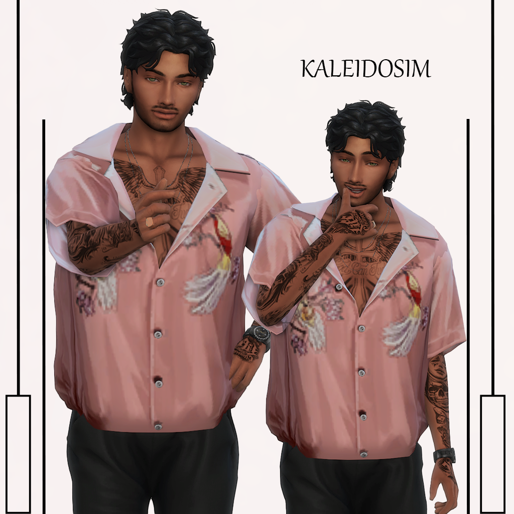 Emilio Garcia - KaleidoSim