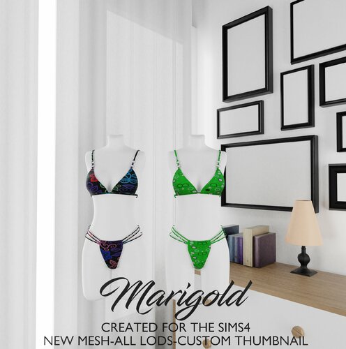 More information about "MARIGOLD TS4- DIORRA"