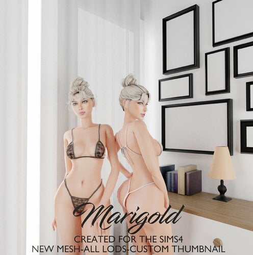 More information about "MARIGOLD TS4- AQEELA"