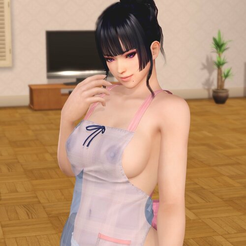 More information about "SSR Toasty Apron (Common)"