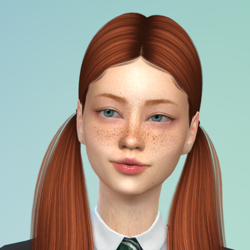 More information about "Sim - Tray Files"