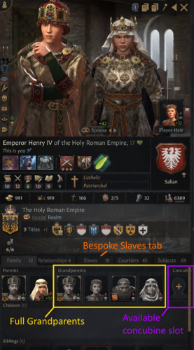 More information about "Dynamic Big Portrait with Slave Tab"
