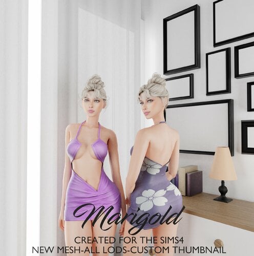 More information about "MARIGOLD TS4- GABRIELA MINI DRESS"